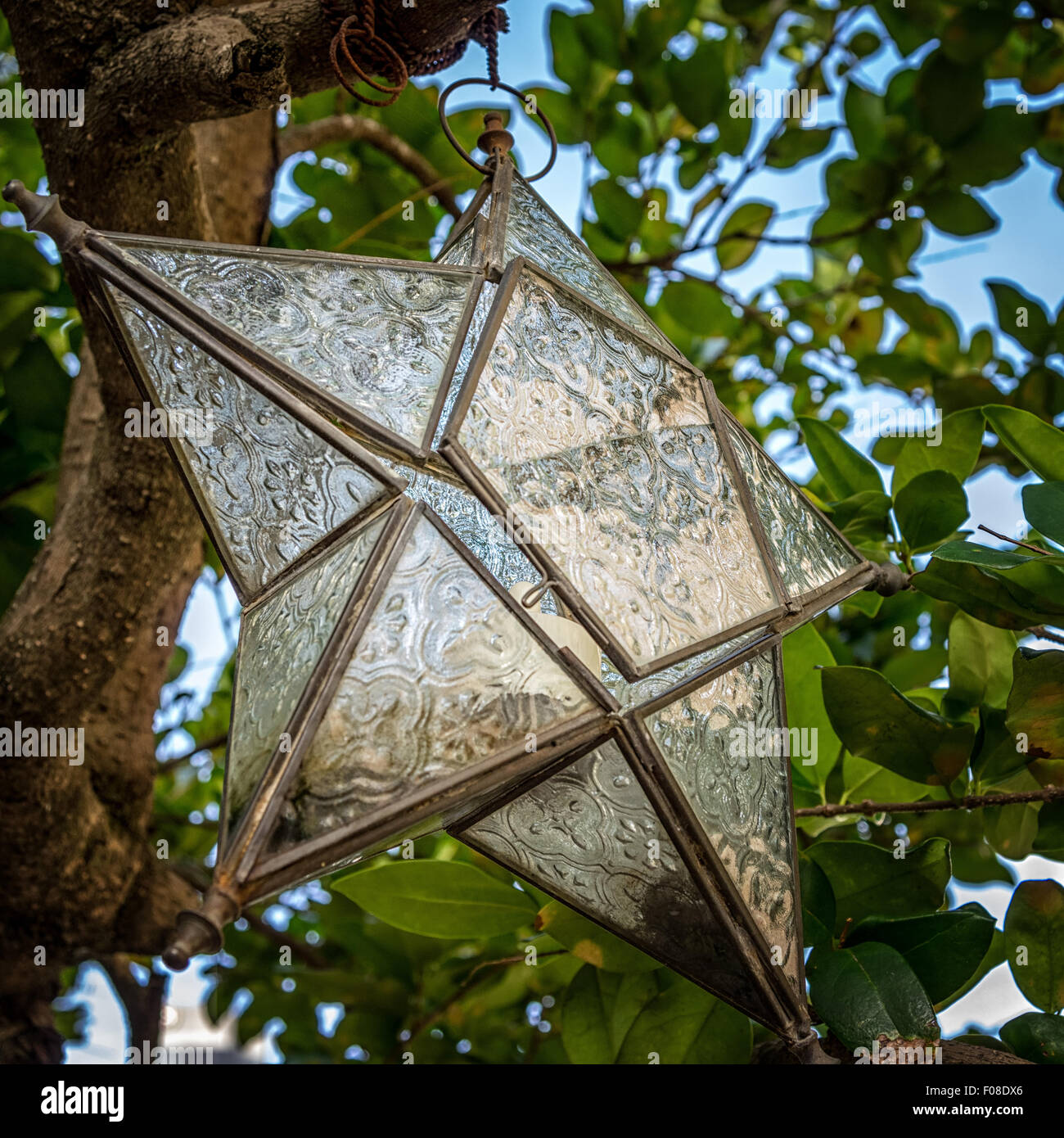 Une étoile de verre suspendu à un arbre Banque D'Images