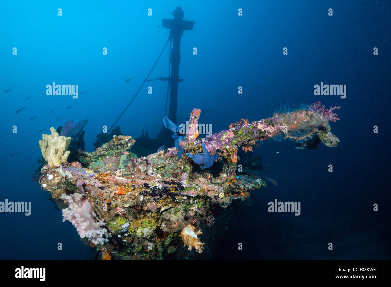 Naufrage de l'Anne, Russell Islands, Îles Salomon Banque D'Images