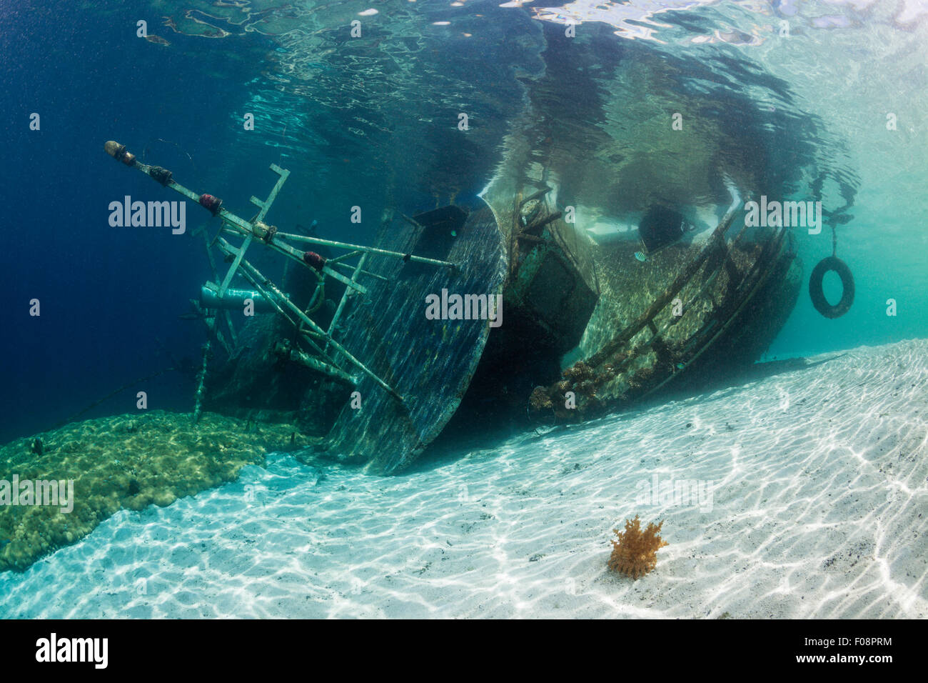 Épave Fishingboat, Îles Salomon, îles de Floride Banque D'Images