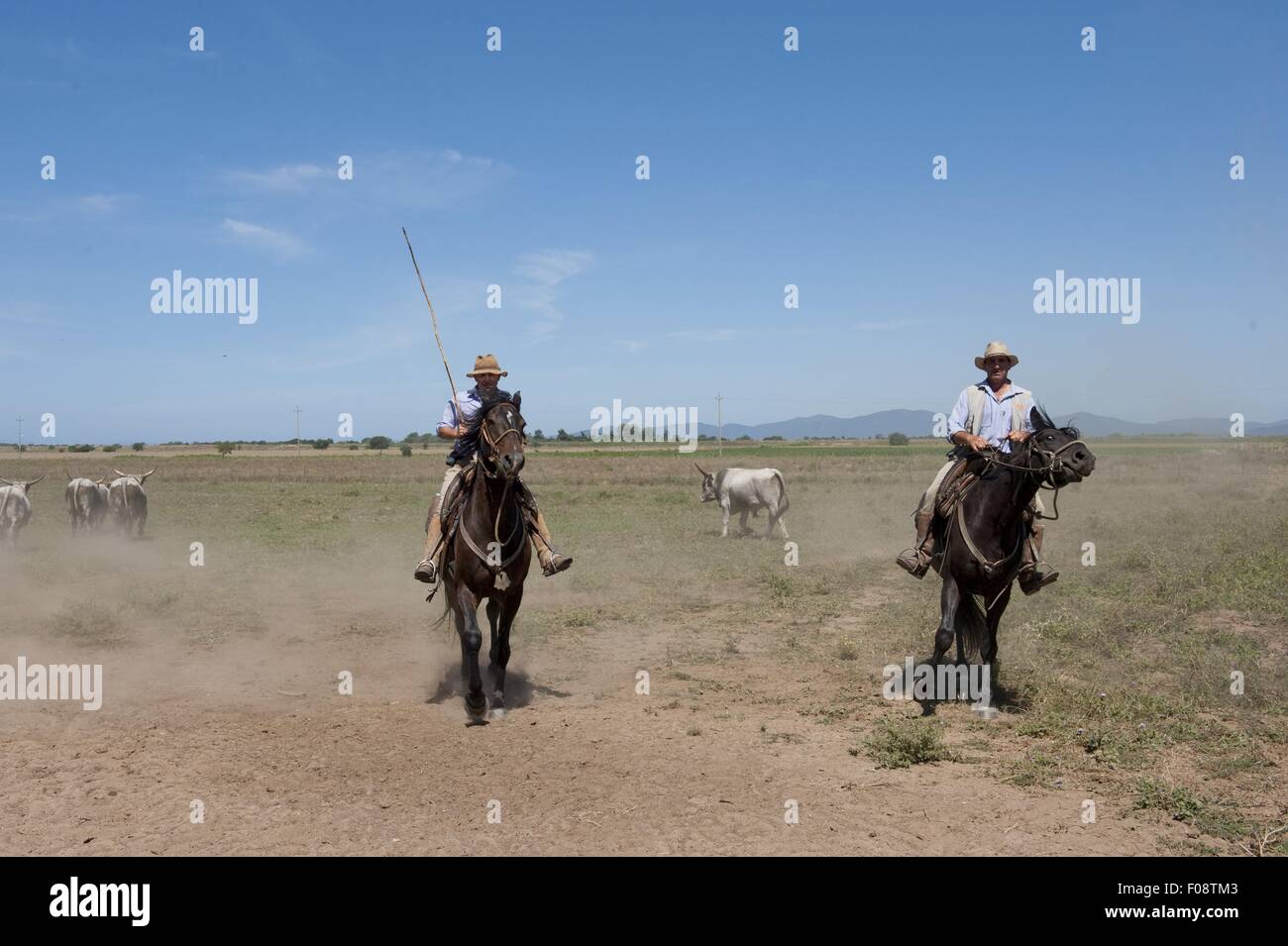 Men wearing cowboy hat riding horse on road Banque D'Images