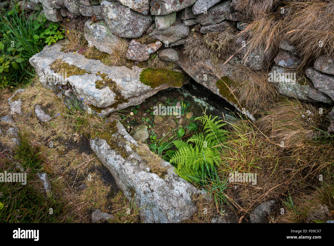 Une pierre dans l'Âge de Bronze à ciste chambre funéraire d'Ballowall Barrow, Carn Glooze, Cornwall, UK Banque D'Images
