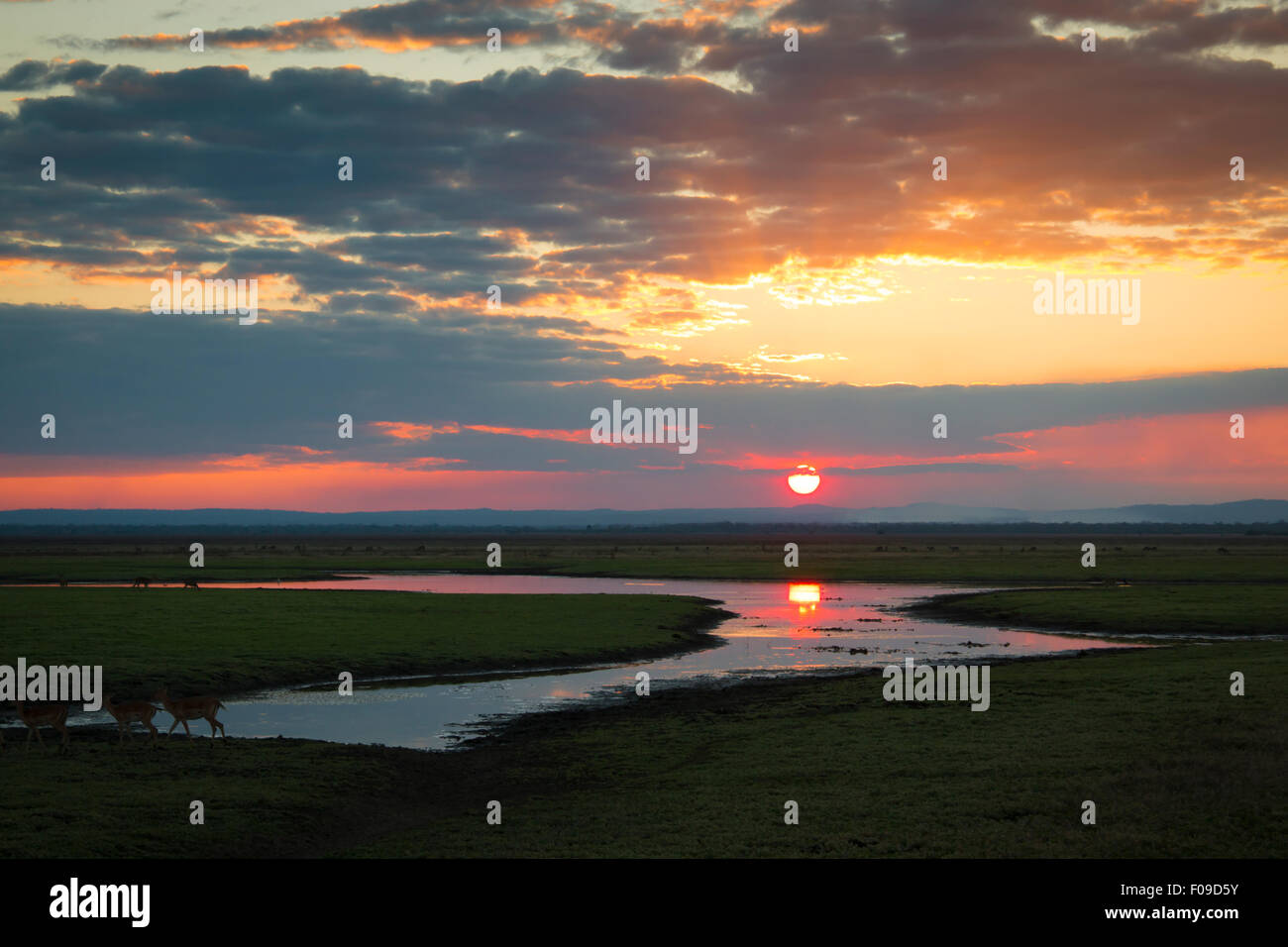 Coucher de soleil sur le parc national de Gorongosa Banque D'Images