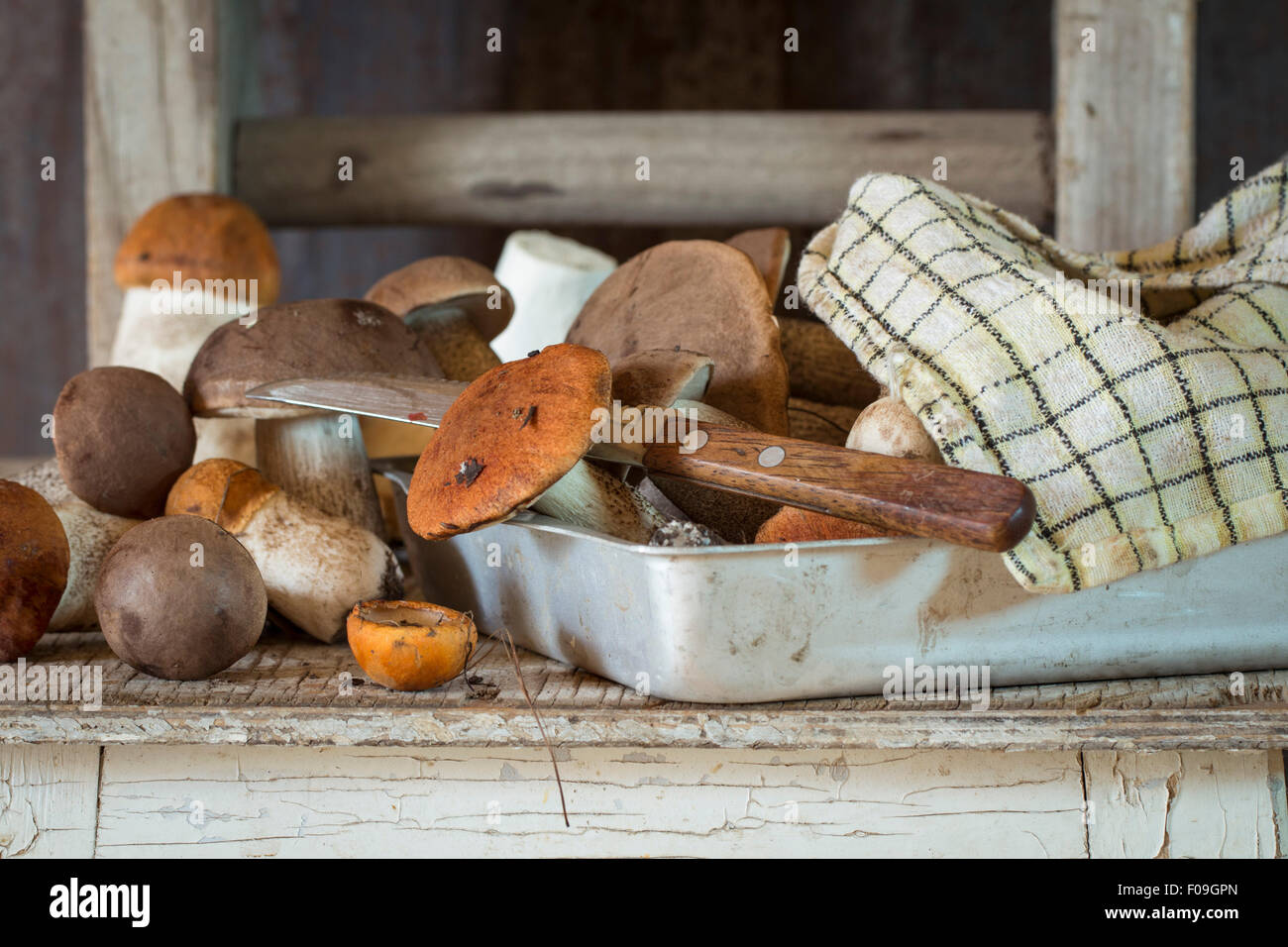 panier en osier avec champignons sauvages blancs, sur fond jaune. un panier  de champignons comestibles 17458991 Photo de stock chez Vecteezy
