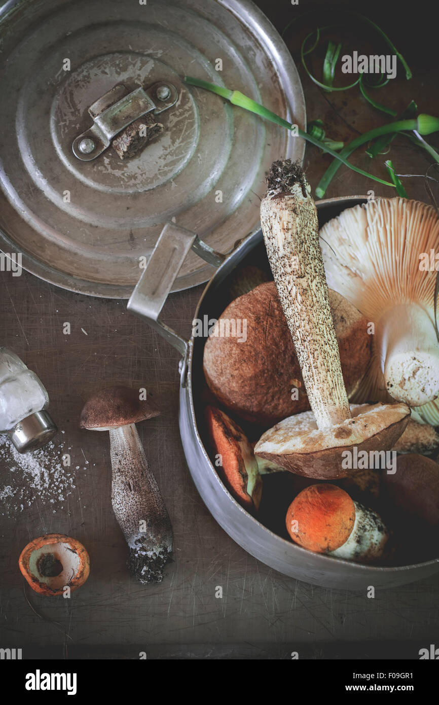 Champignons forestiers comestibles (Birch et le guide des champignons - bolet Boletus edulis ) en aluminium. Vintage avec ustensiles de cuisine et de l'IRSS Banque D'Images