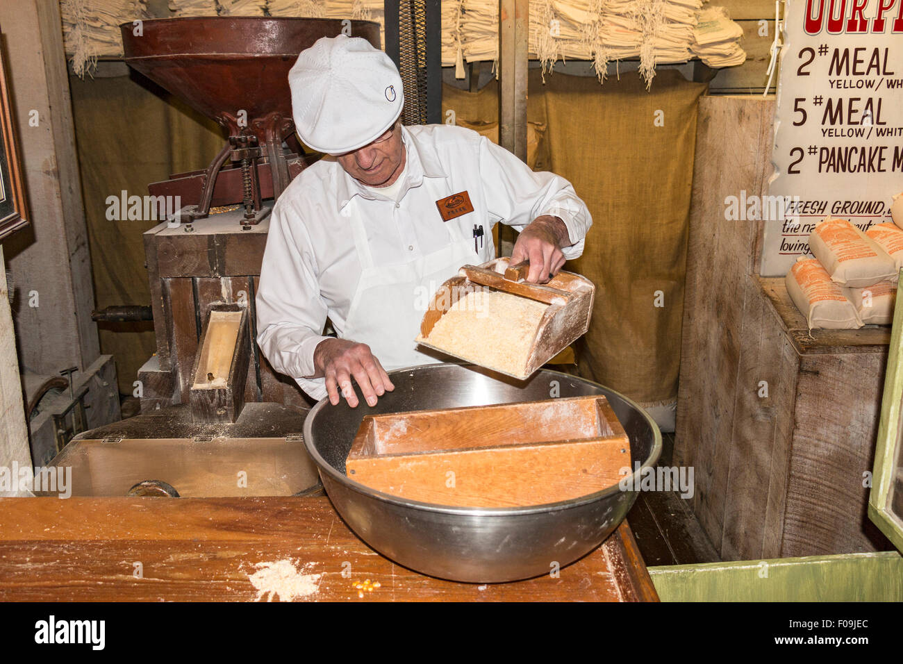 Tamiser la farine, semoule de maïs au grist mill at Silver Dollar City, un parc d'attractions à thème 1880 près de Branson, MO. Banque D'Images