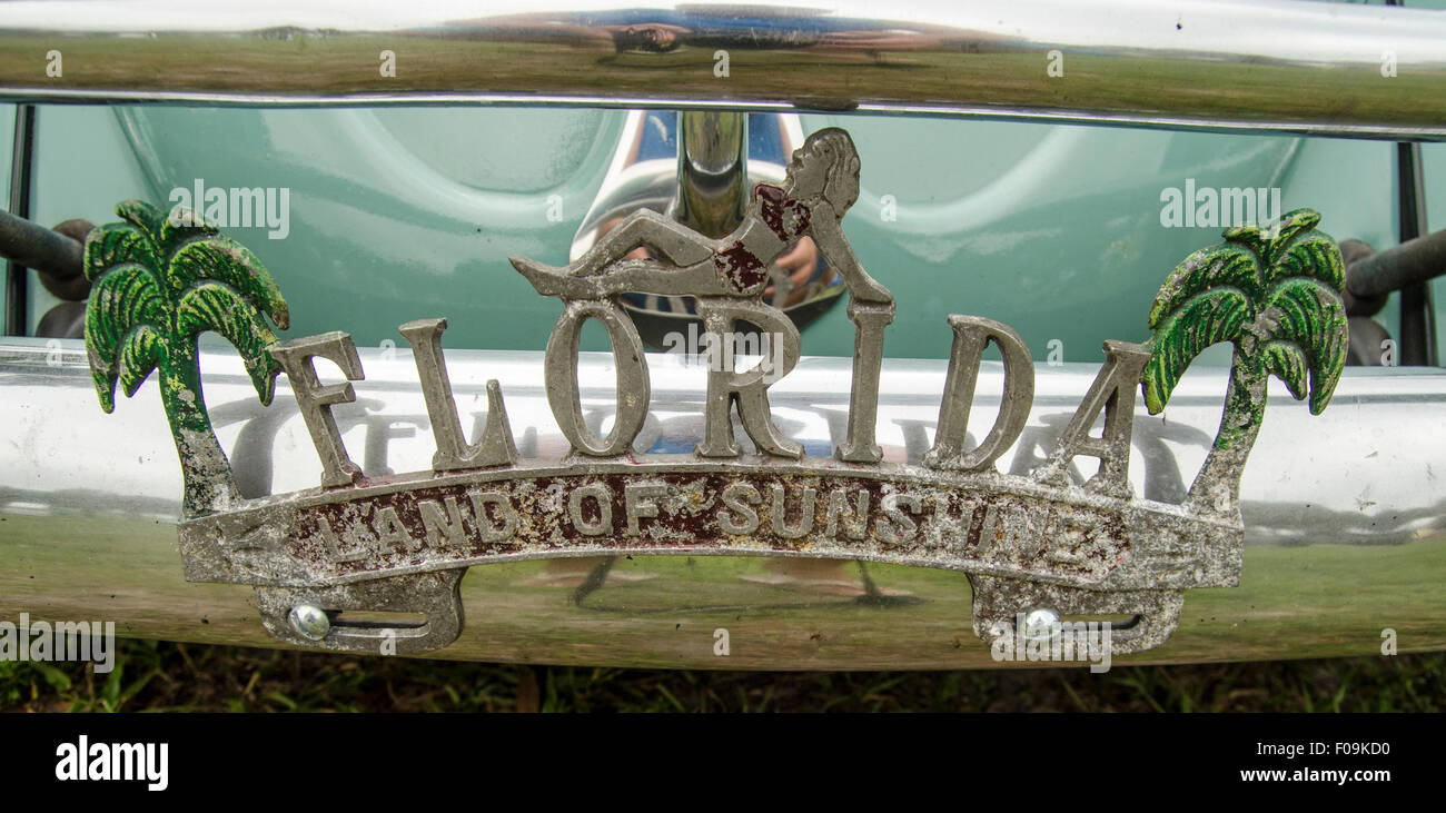 Vintage d'immatriculation sur Volkswagen Banque D'Images