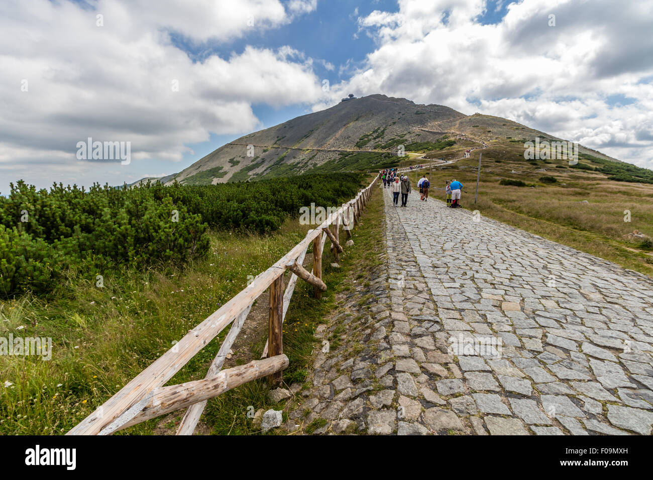 Sur le sentier près de Pec pod Snezkou Krkonose en montagne, République Tchèque Banque D'Images