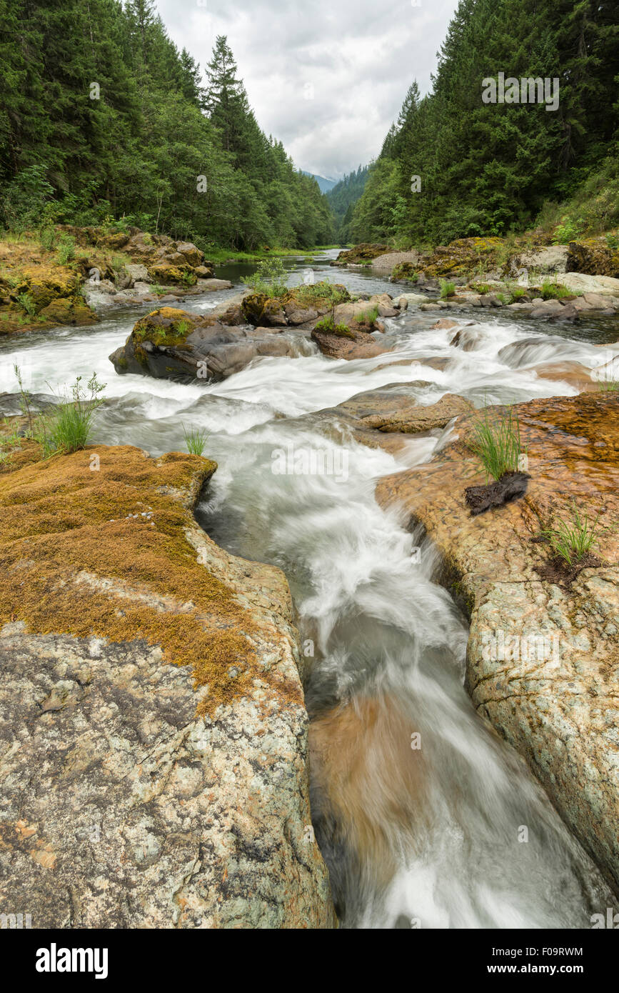 North Fork du tablier de la rivière Willamette, circulant dans des goulottes étroites dans la roche, de l'Oregon. Banque D'Images
