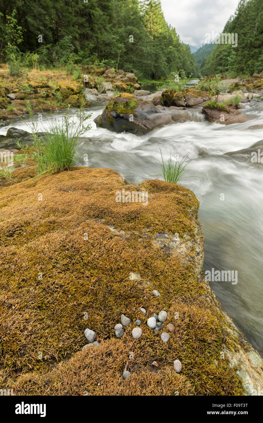 North Fork du tablier de la rivière Willamette, circulant dans des goulottes étroites dans la roche, de l'Oregon. Banque D'Images