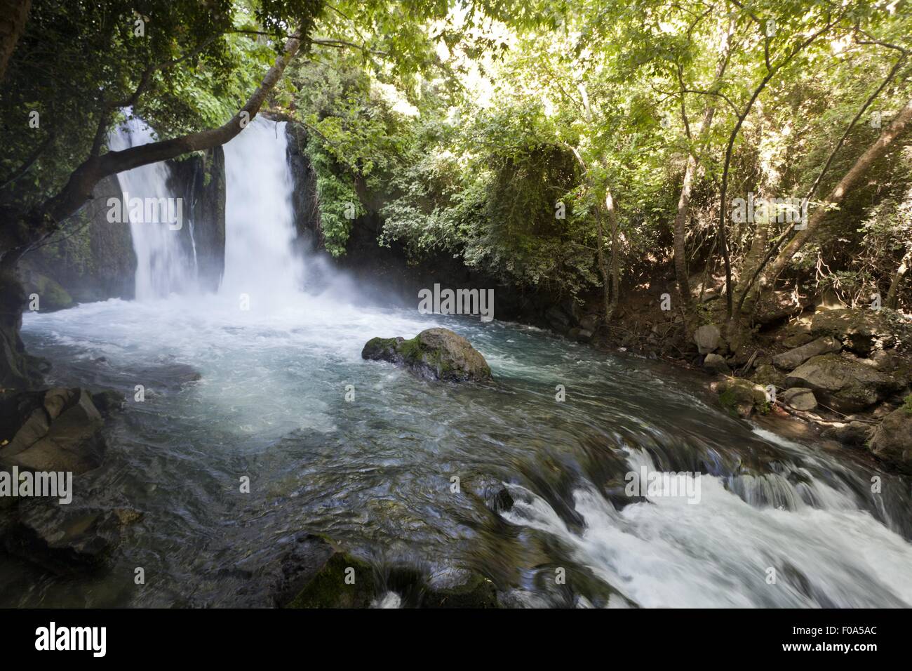 Vue de la cascade de Banias et Jourdain dans le Golan, Israël Banque D'Images