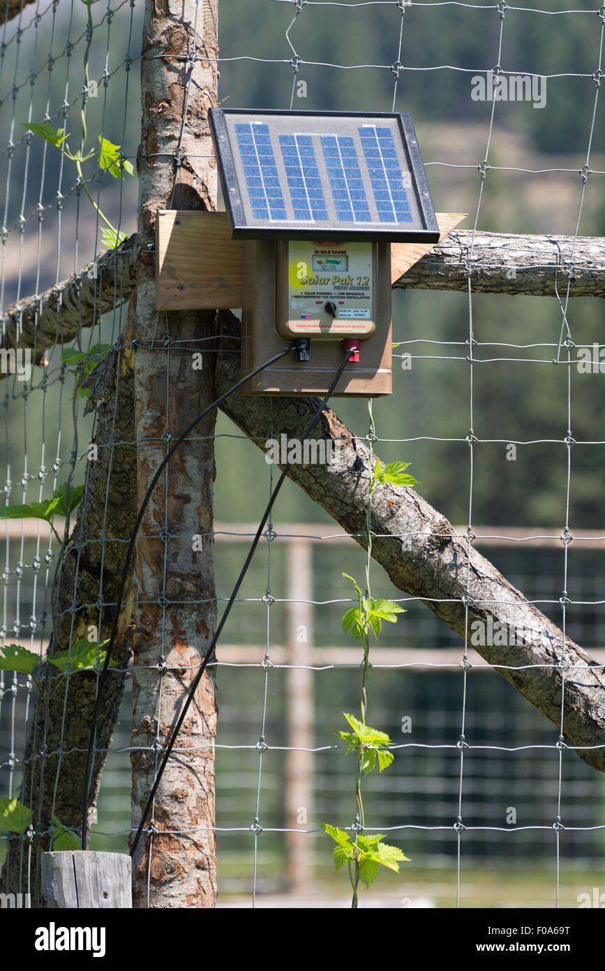 Mise sous tension du panneau solaire à la clôture électrique Minam River Lodge dans les montagnes de l'Oregon Wallowa. Banque D'Images