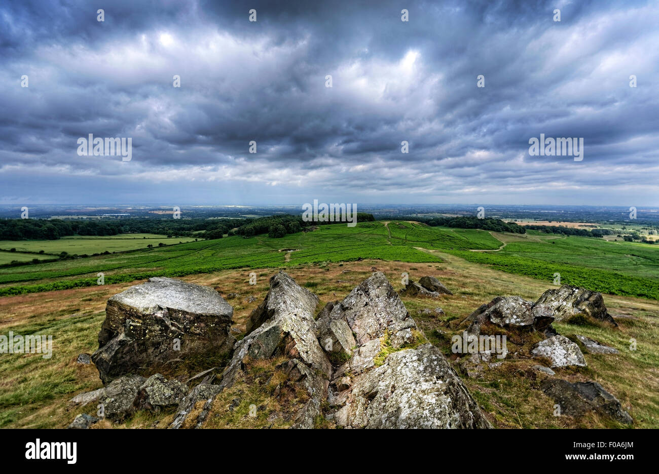 Bradgate Park est un parc public de Charnwood Forest, dans le Leicestershire, en Angleterre, au nord-ouest de Leicester. Banque D'Images