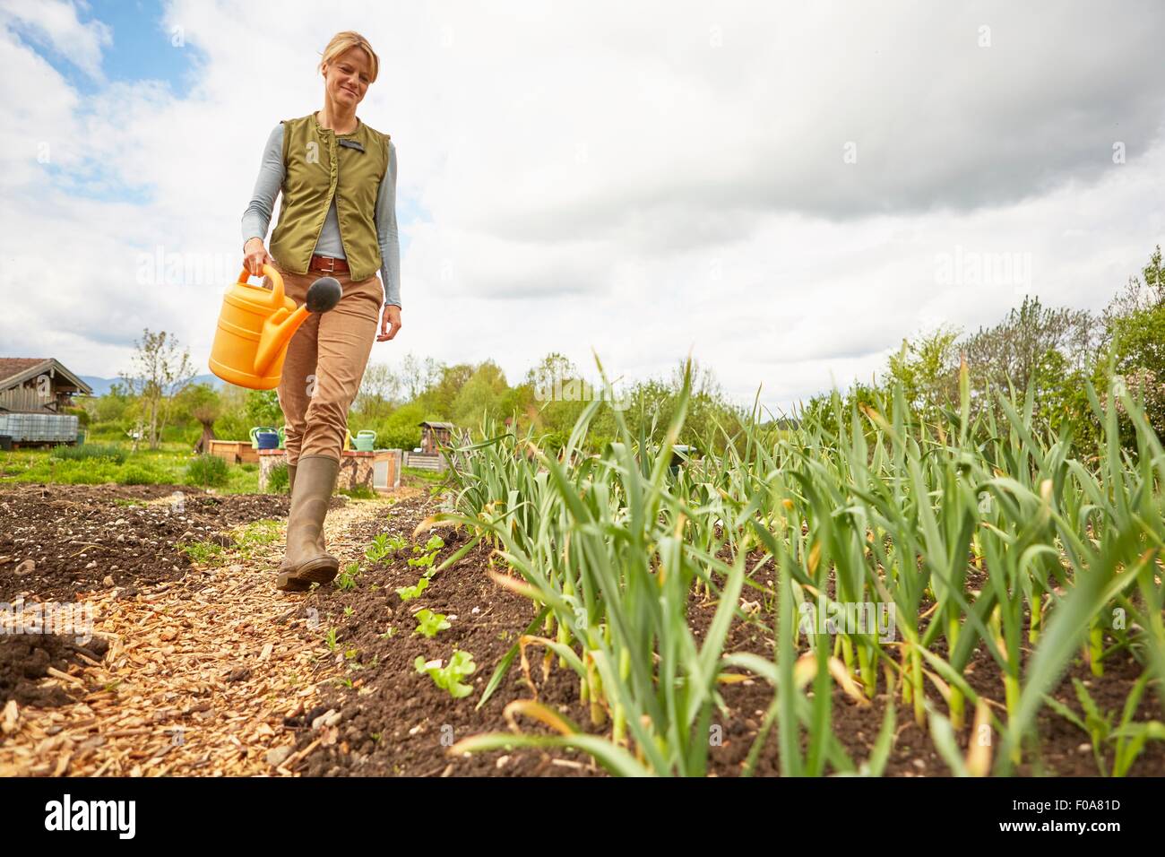Femme mature, à l'extérieur, le jardinage, l'arrosage des plantes à l'arrosoir Banque D'Images