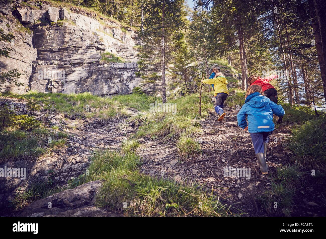 Groupe d'enfants en forêt, marche en montée, vue arrière Banque D'Images