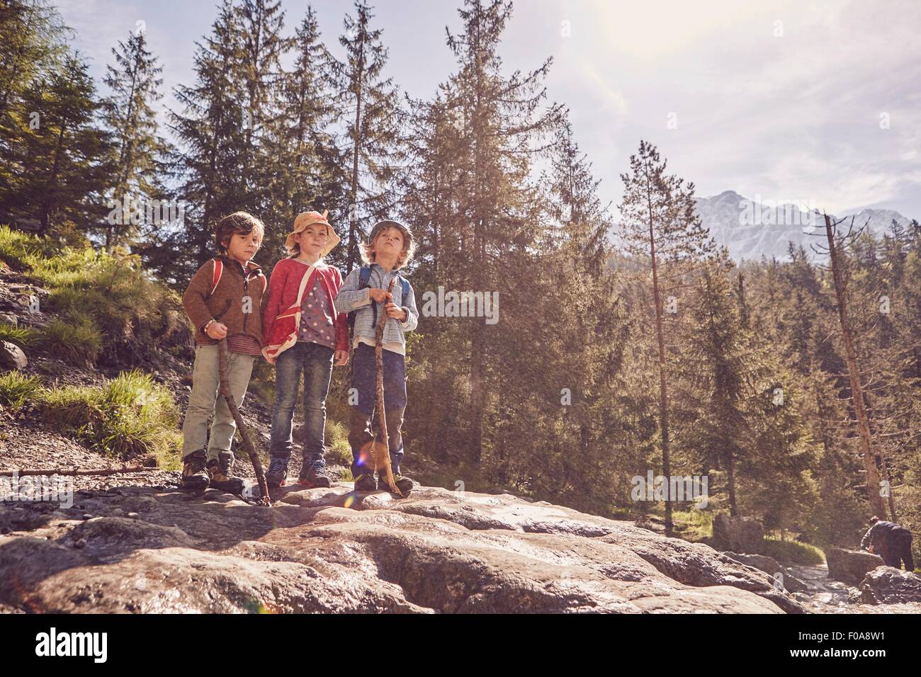 Trois enfants debout sur rock en forêt Banque D'Images