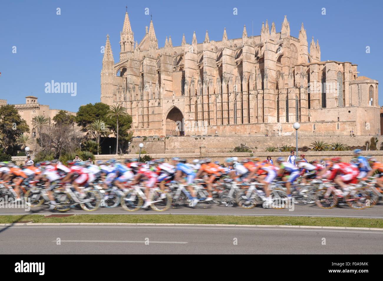 Peloton à grande vitesse passant la cathédrale de Palma Mallorca pendant la course Trofeo de Palma Banque D'Images