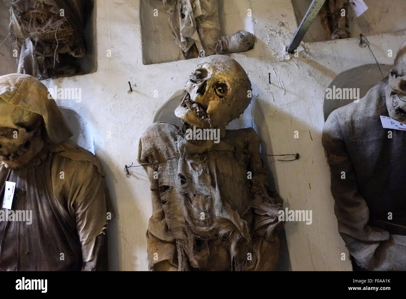 CATACOMBES DE PALERME, SICILE,Italie, Banque D'Images