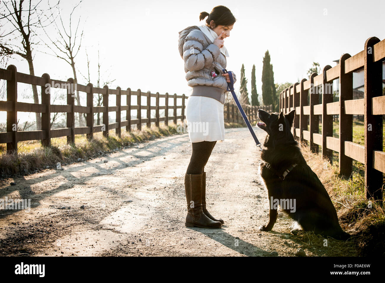 La formation a son chien à s'asseoir on rural road Banque D'Images