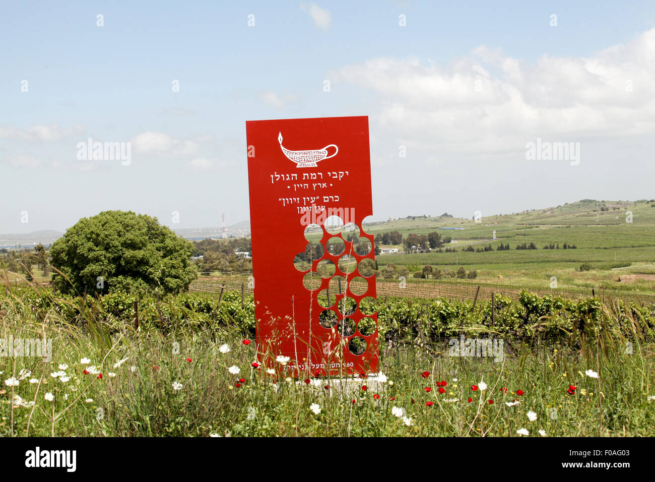 Panneau rouge du plateau du Golan winery l'Ein Zivan vineyard Banque D'Images