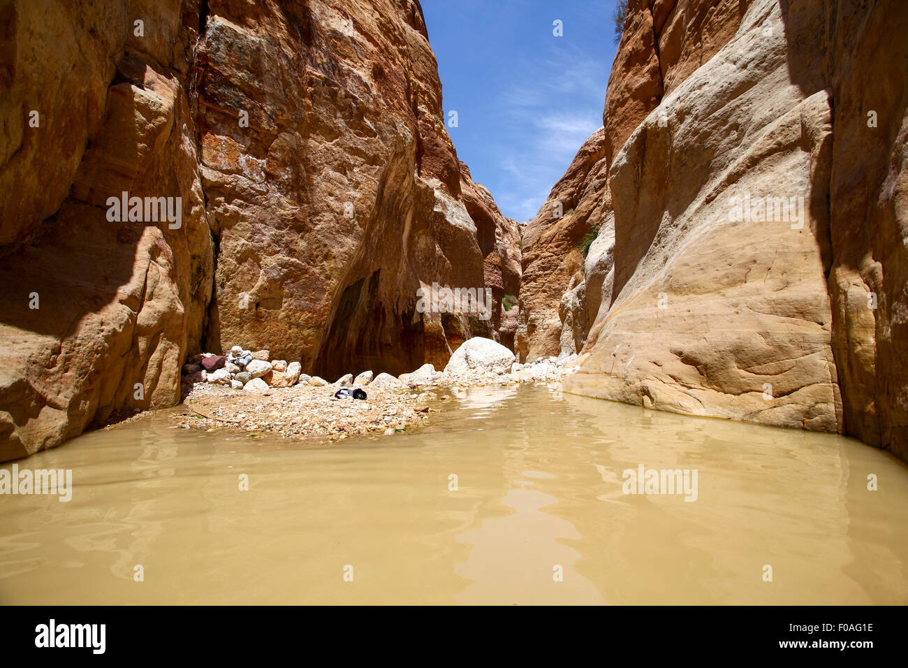 Wadi Zéred (Wadi Hassa ou Hasa) dans l'ouest de la Jordanie. Pierre de sable un canyon avec de l'eau courante. Se jeter dans la mer Morte Banque D'Images