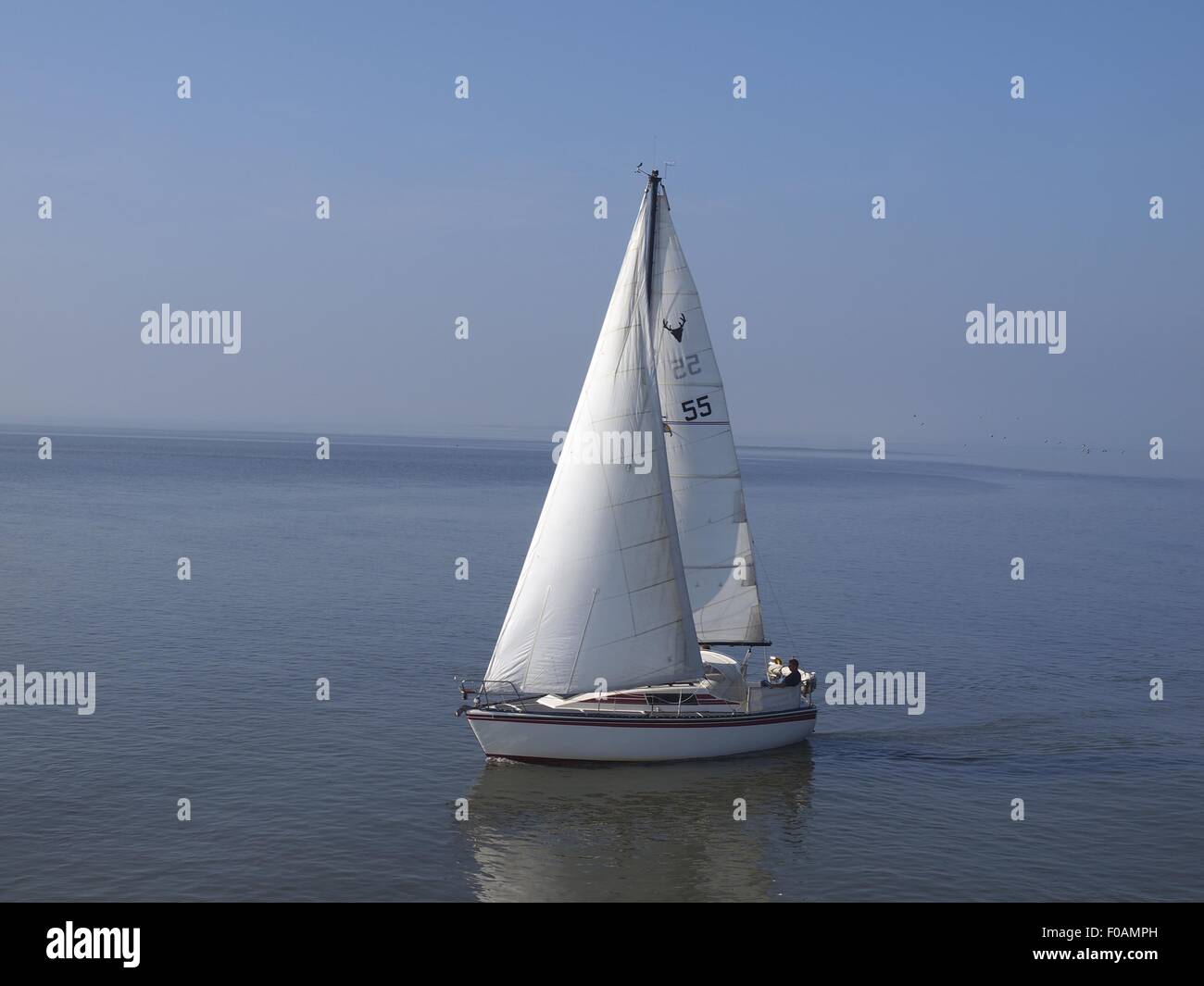 Voilier en mer à Spiekeroog, Basse-Saxe, Allemagne Banque D'Images