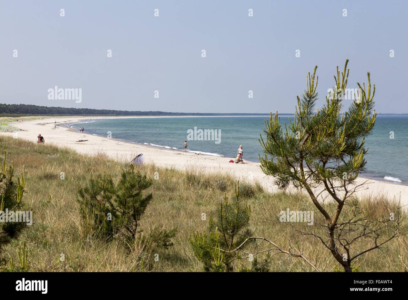 La plage de Schaabe â€" crachent sur l''île de RÃ¼gen Banque D'Images