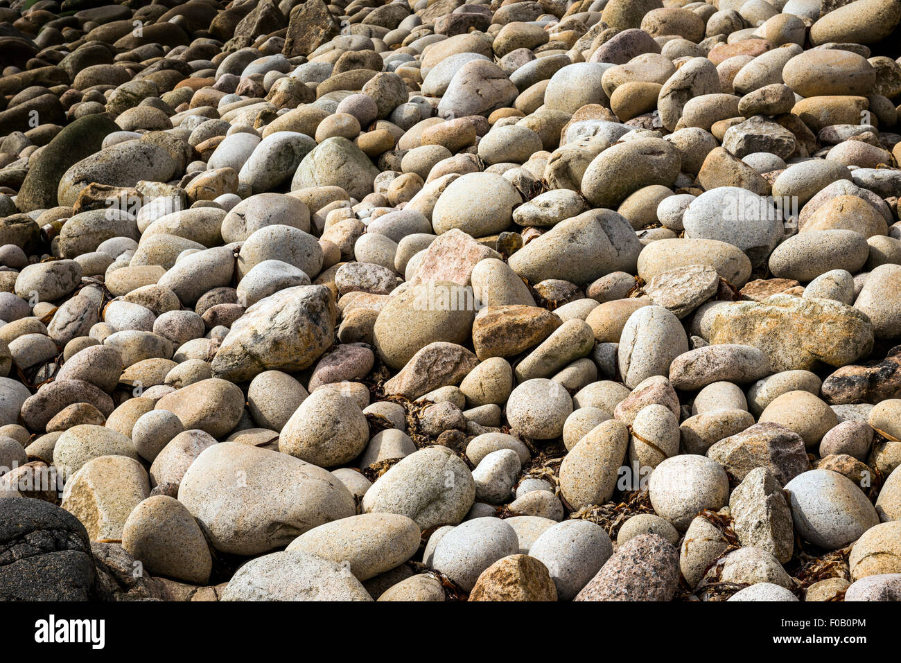 Rochers arrondis massive sur la plage de Porth Nanven, Penwith, Cornwall, UK Banque D'Images