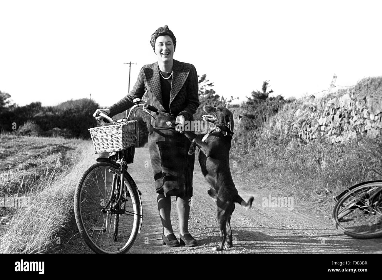 Une femme poussant son vélo le long d'un chemin de campagne avec son chien  labrador Photo Stock - Alamy