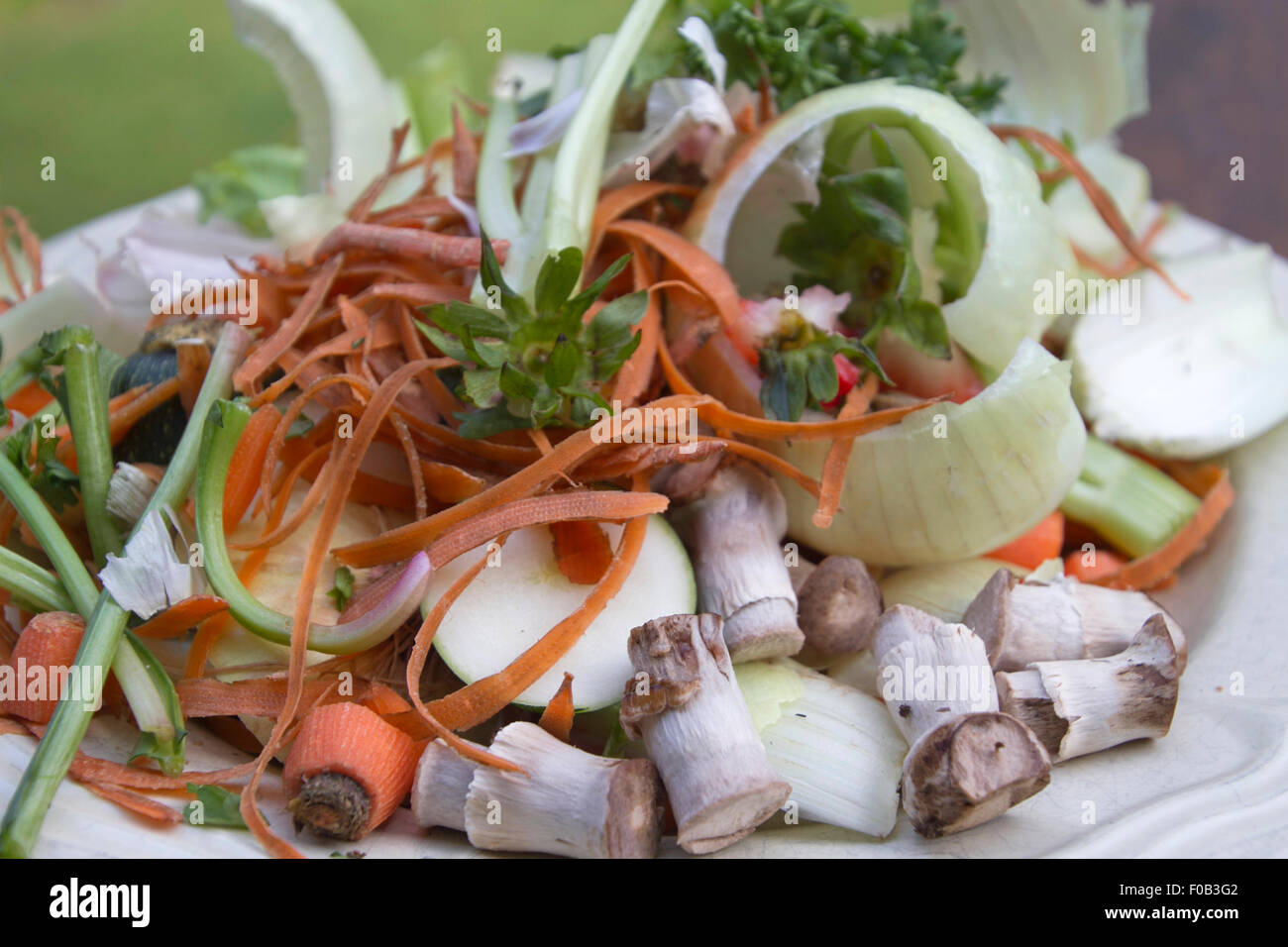 Close up of assiette pleine de pelures de légumes et des raclures en attente d'être composté Banque D'Images