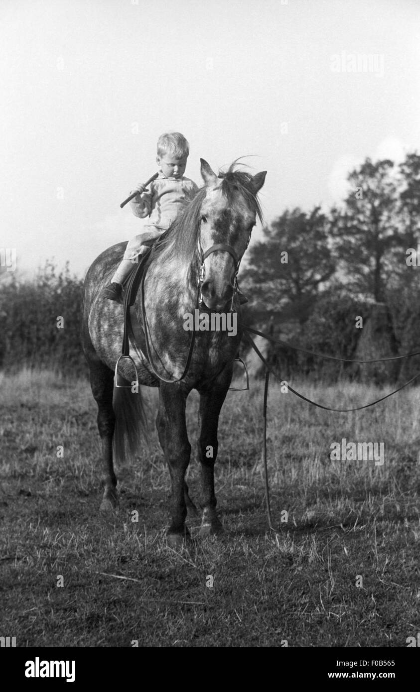 Un jeune garçon assis sur un cheval gris pommelé sur un rein. Banque D'Images