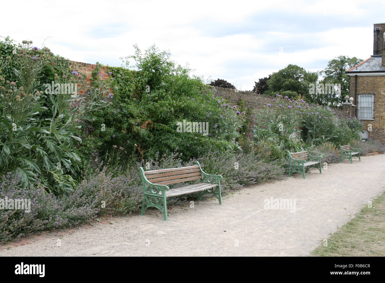 À côté des bancs de la frontière à sec mur de brique à William Morris Gallery, planté de cardons et lavande Banque D'Images