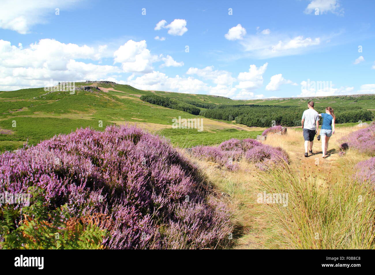 Un jeune homme et femme marche sur la lande de bruyère à Burbage Edge dans le Peak District National Park, Angleterre Royaume-uni Banque D'Images