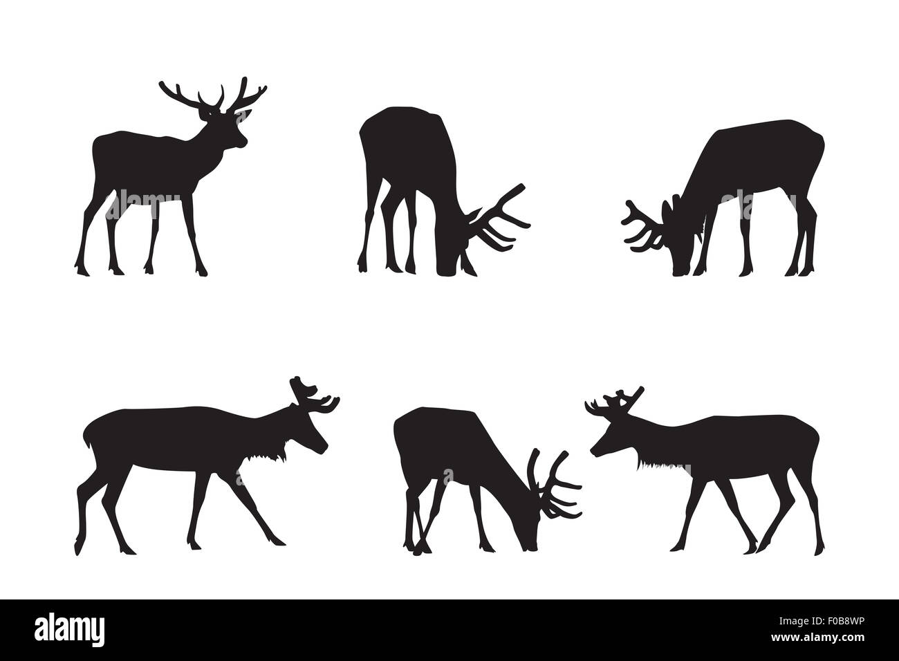 Buck Deer Silhouettes - éléments de décoration Banque D'Images