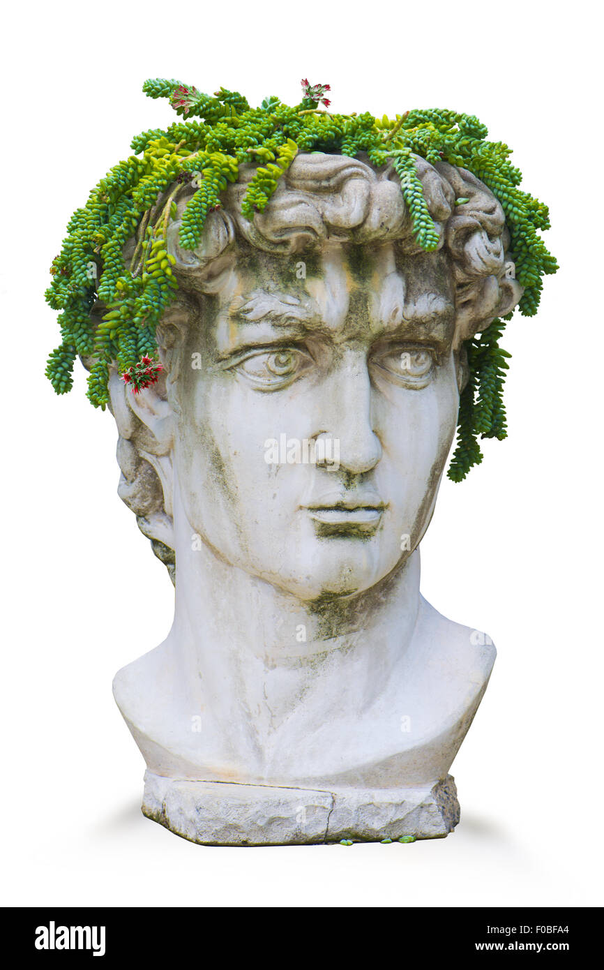Réplique de Michelangelo's David Dieu romain classique buste avec coiffe végétale Banque D'Images