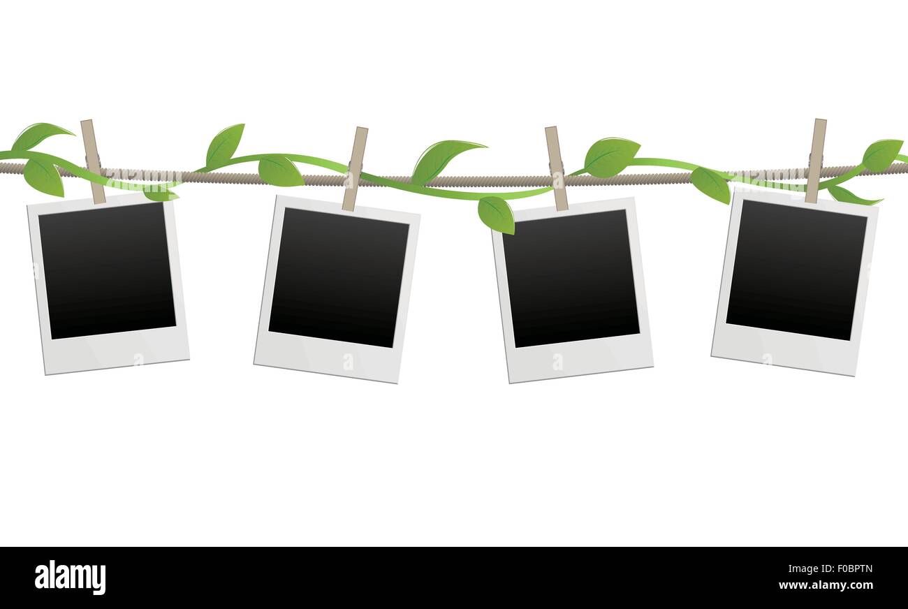 Cadres photo vierge avec plante verte Illustration de Vecteur