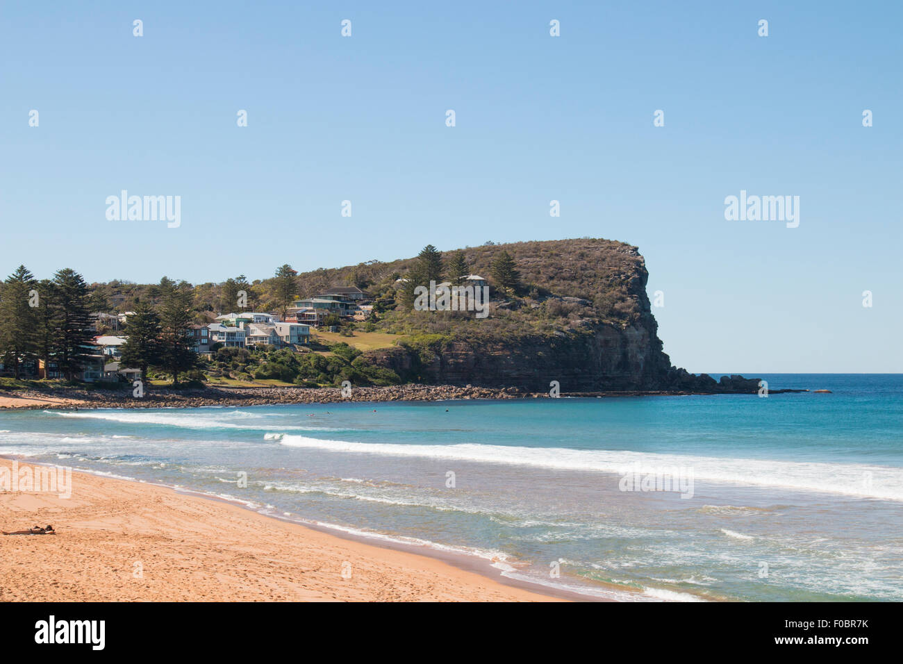 Dame à bronzer sur la plage d'Avalon dans Sydney, New South Wales, Australie Banque D'Images