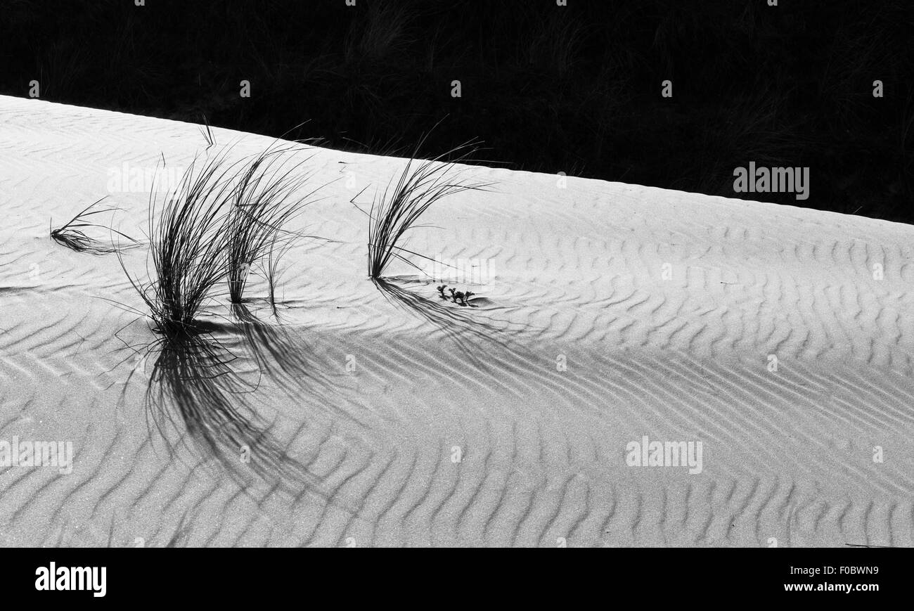 Whitford Sands est un deux mile étendue de plage sur le côté nord de la péninsule de Gower, dans le sud du Pays de Galles, Royaume-Uni Banque D'Images