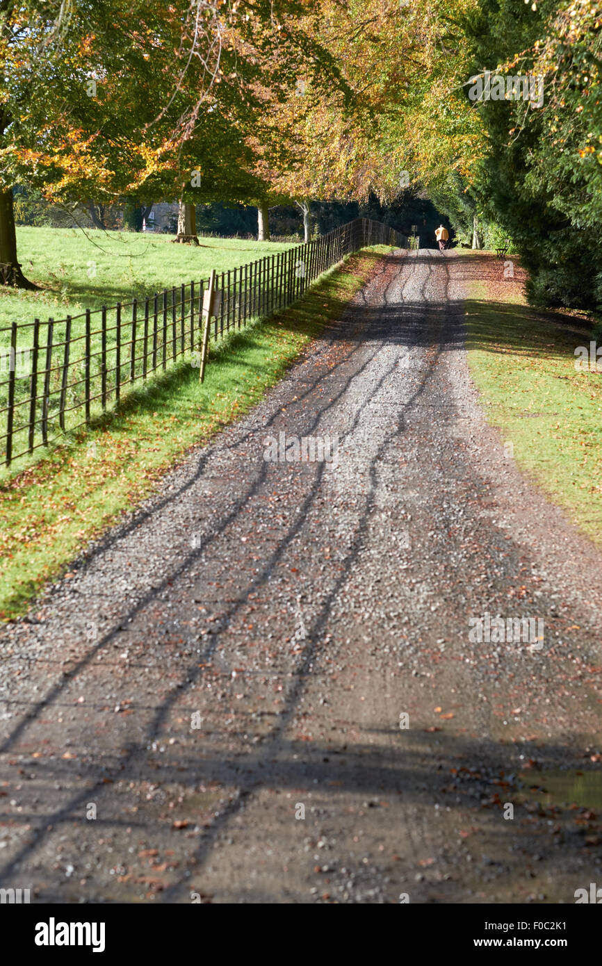 Une piste menant à Wallington House Gardens dans le Nord Est de l'Angleterre, Royaume-Uni. Banque D'Images