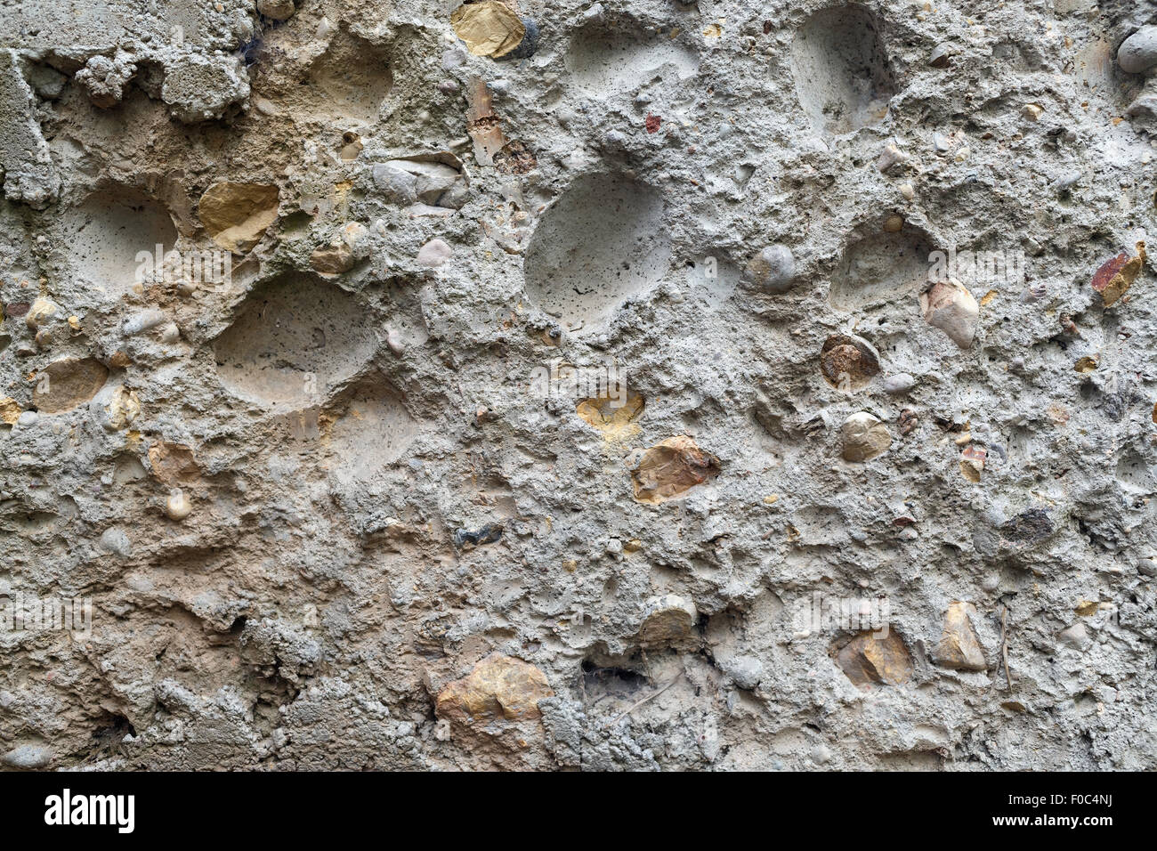 Coquina arrière-plan. Old grunge texture calcaire fossile. Banque D'Images