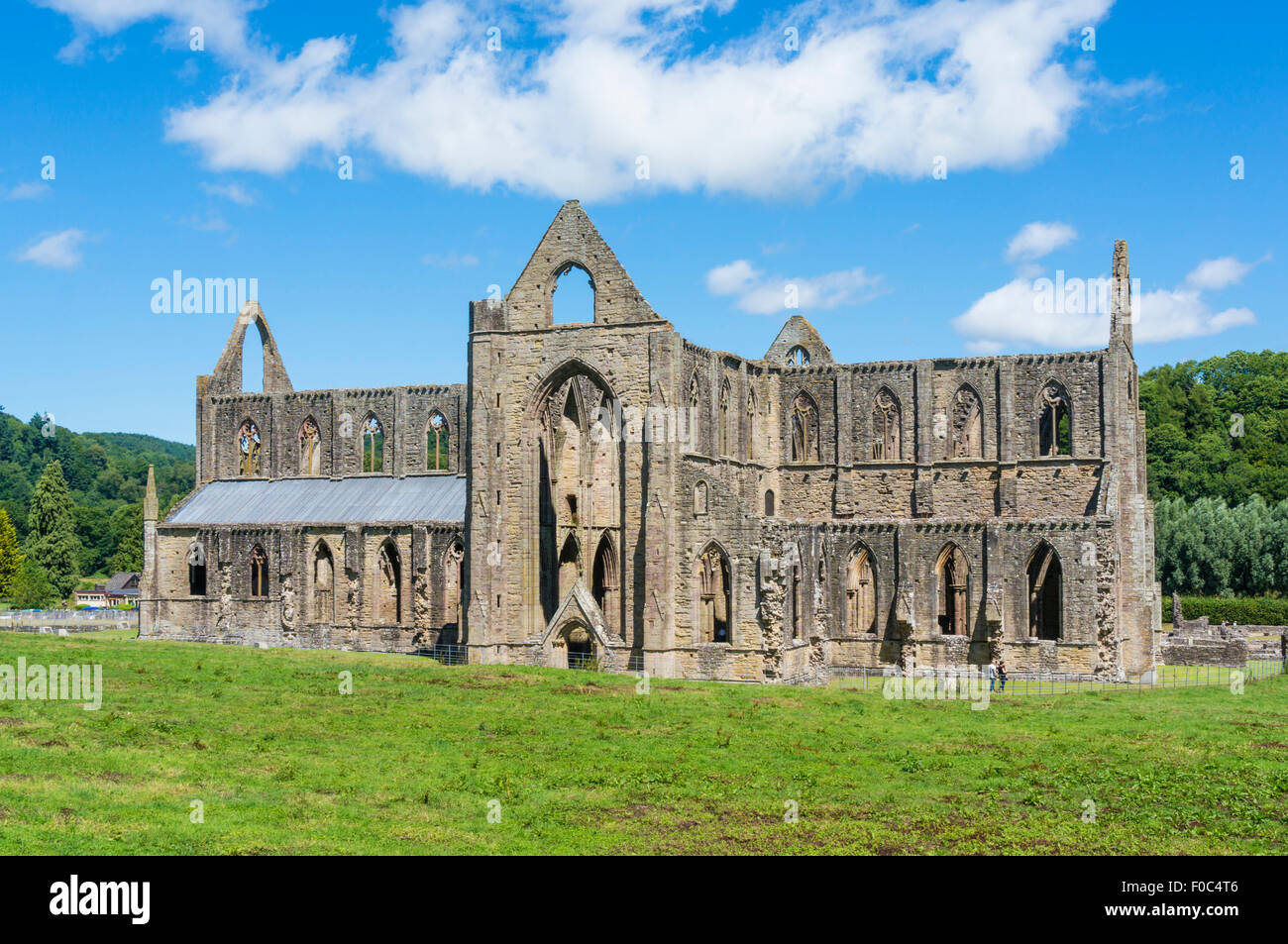 Abbaye de Tintern, Tintern, vallée de la Wye, Monmouthshire, Wales, Royaume-Uni, l'Union européenne, de l'Europe Banque D'Images