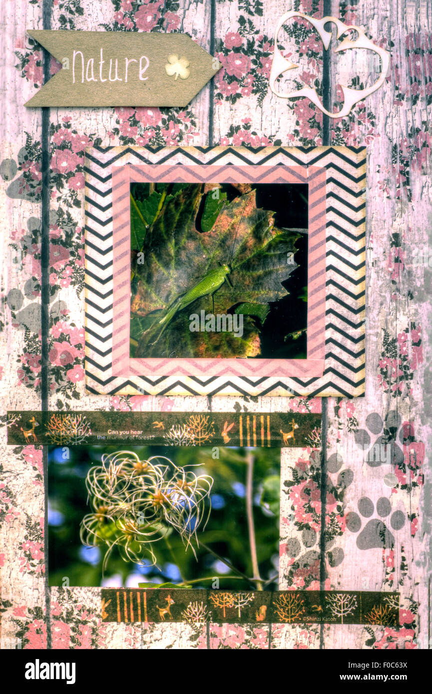 Une vue verticale d'un coloré décoré page d'album, nature Banque D'Images