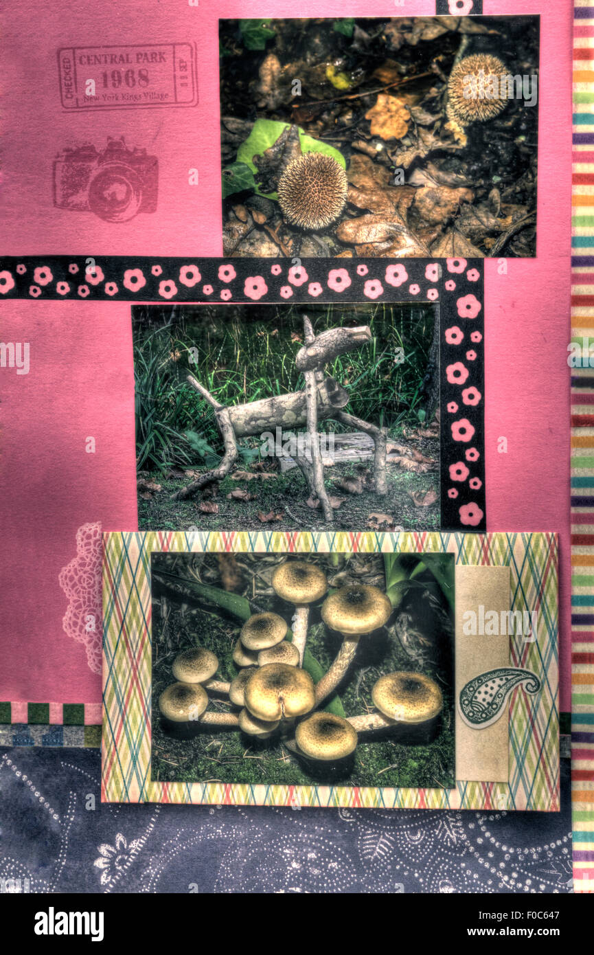 Une vue verticale d'un coloré décoré page d'album, les plantes Banque D'Images