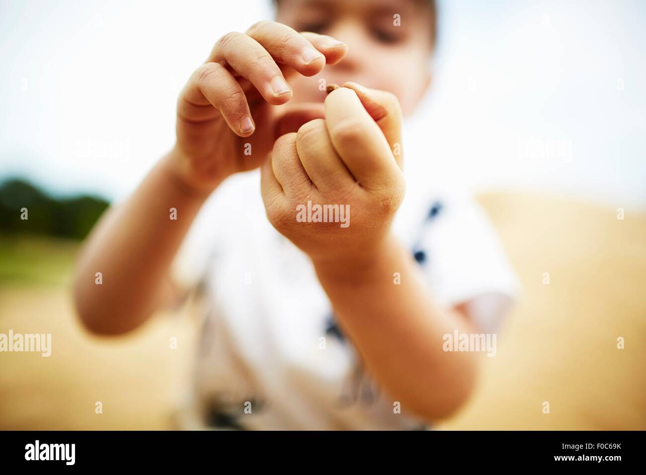 Close up of boy holding un caillou dans ses mains Banque D'Images