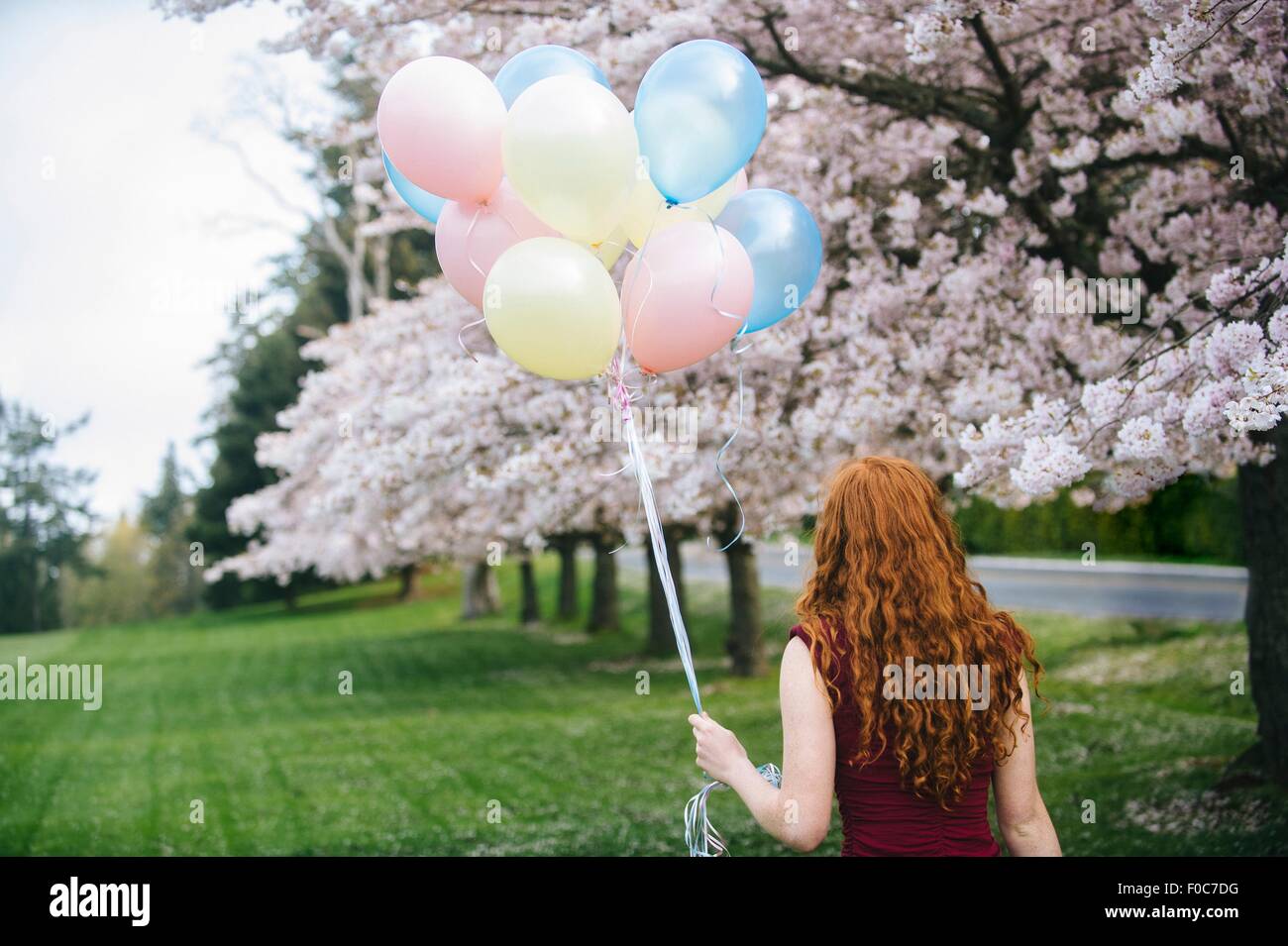 Vue arrière du jeune femme avec de longs cheveux roux ondulés et bouquet de ballons dans spring park Banque D'Images