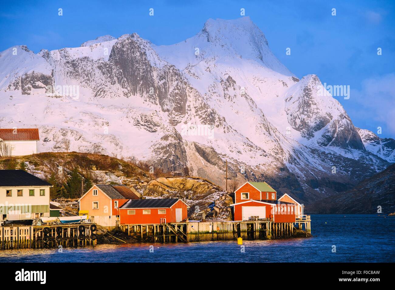 Maisons dans le village de pêcheurs de reine, les îles Lofoten, Norvège Banque D'Images