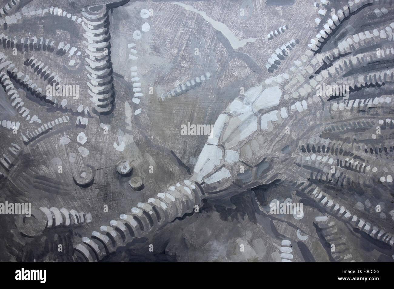 Peinture des crinoïdes Banque D'Images