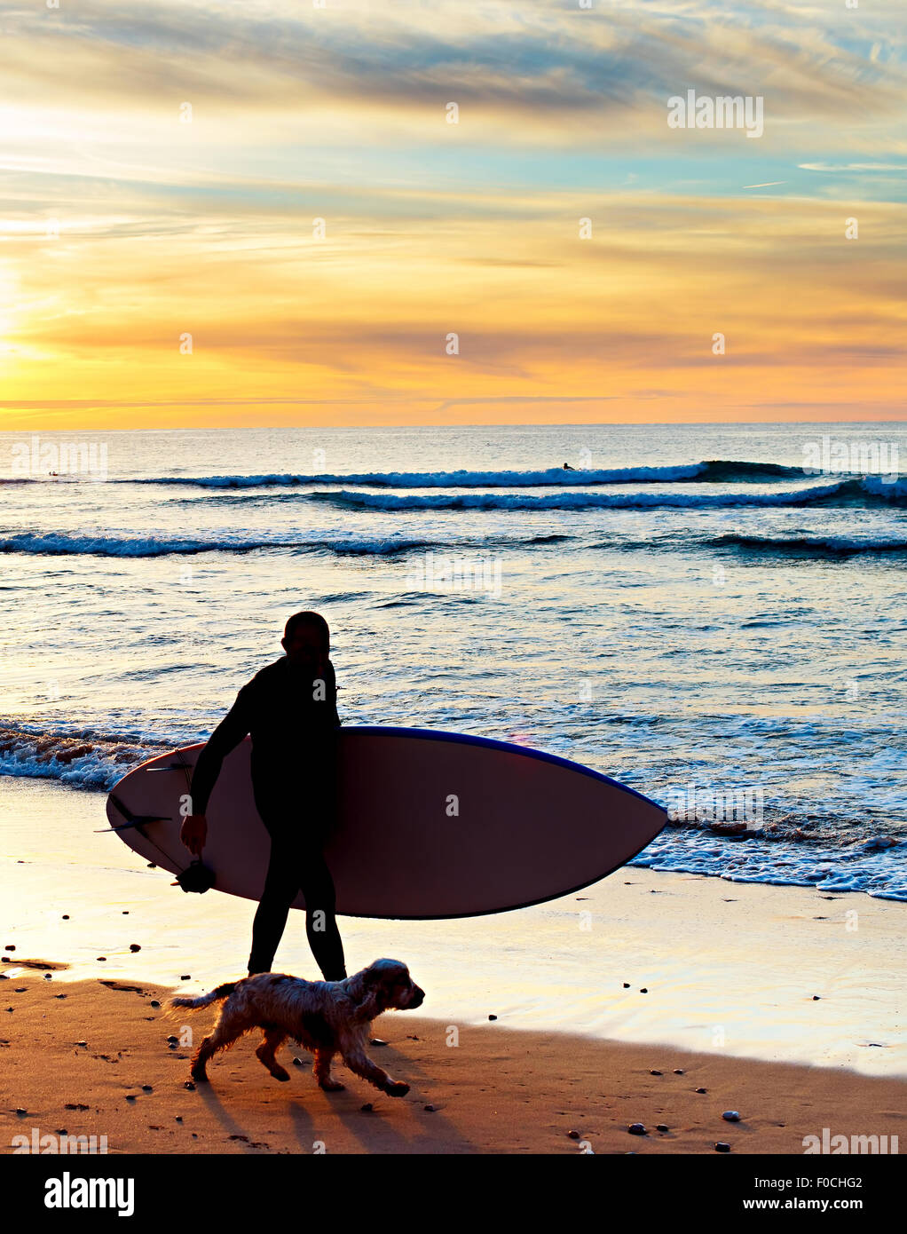 Silhouette d'un surfeur avec un chien au coucher du soleil sur la plage. Portugal Banque D'Images