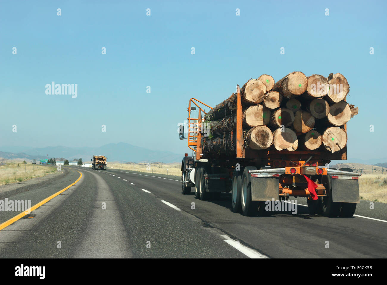 Gros camion transportant du bois sur la route Banque D'Images