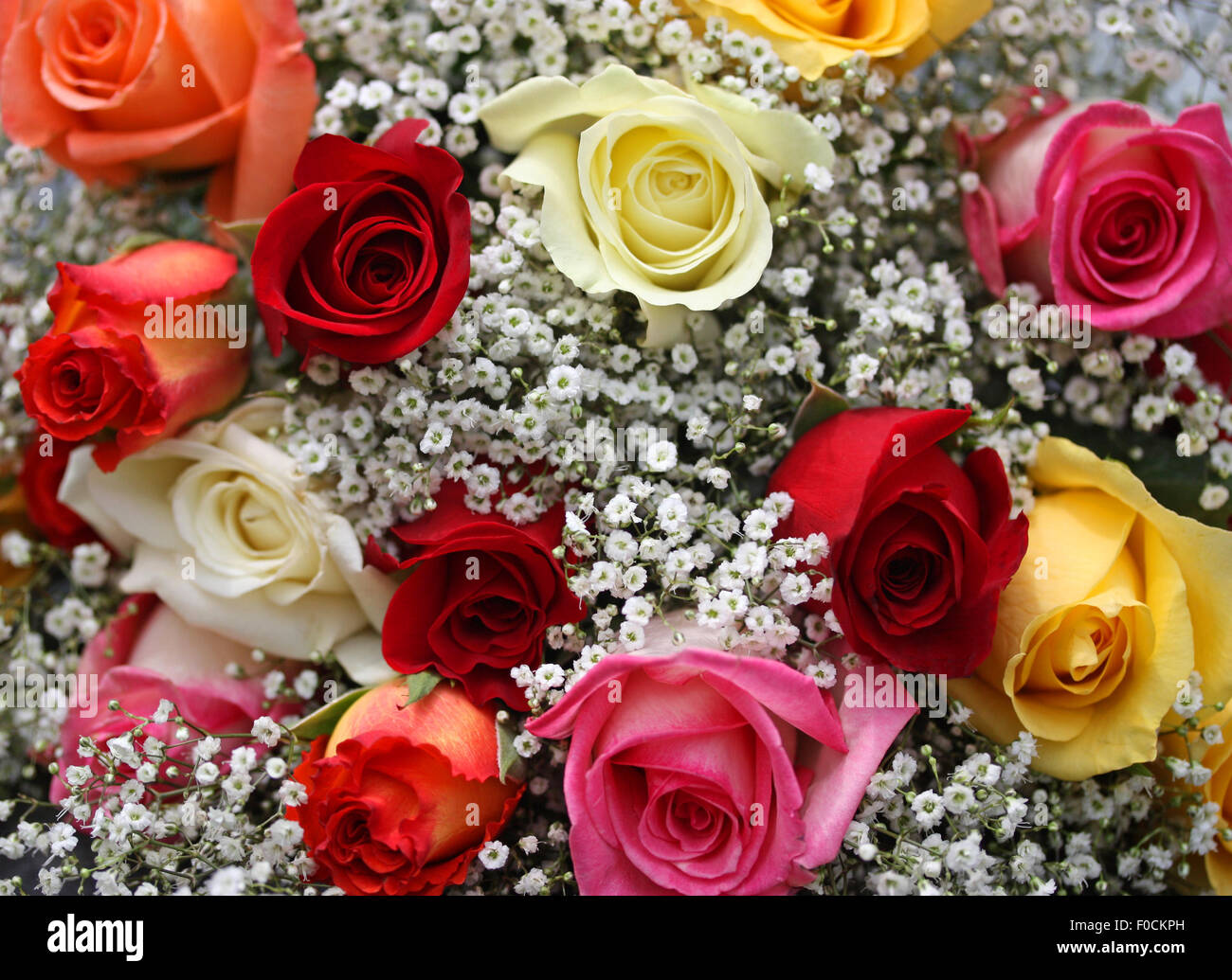 Bouquet de roses colorées Banque D'Images