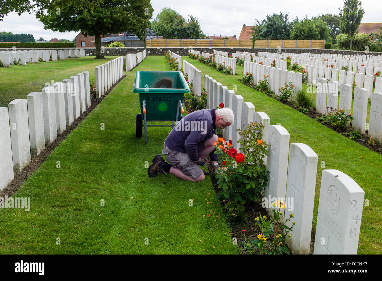 Un jardinier tend le petit jardin au cimetière de Tyne Cot en Flandre, Belgique. Banque D'Images